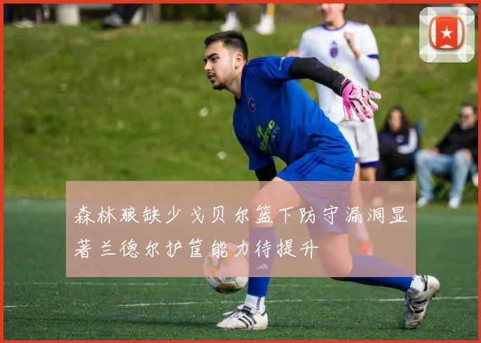 森林狼缺少戈贝尔篮下防守漏洞显著兰德尔护筐能力待提升